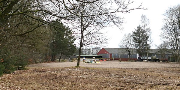 Illegal abgeholzter Wald muss wieder aufgeforstet werden 