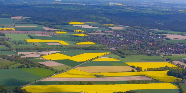 Scheckbuchökologie: Schönecke kritisiert Hamburgs Kauf von Ausgleichfllächen