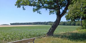 Landkreis Harburg weist neue Landschaftsschutzgebiete aus