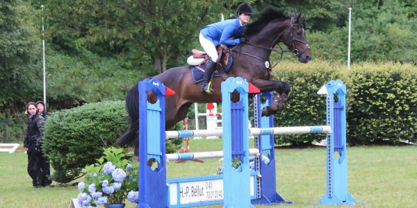 Profis und Amateure aus Hamburg, Niedersachsen und Schleswig-Holstein zeigen auf der Anlage des HRV am Wochenende tolle Ritte. Foto: Christian Bittcher Sommerturnier der Reiter: Profis und Amateure zeigen ihr Können