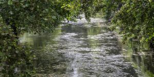 Das Abpumpen von Wasser aus Teichen und Flüssen ist verboten