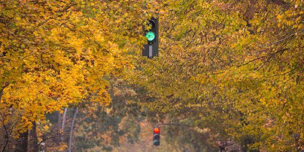Herbstliches Farbenspiel lädt zum Spaziergang ein