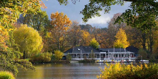 Sonnenstrahlen lassen das Herbstlaub im Stadtpark leuchten