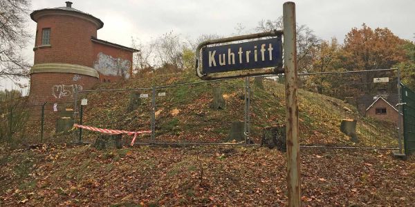 Pumpwerk Heimfeld: Mehrere Bäume mussten weichen