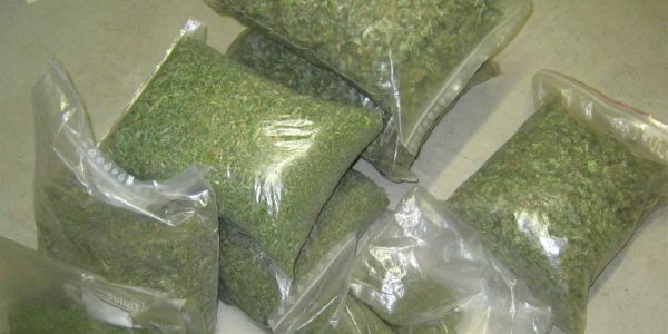 Neu Wulmstorf: Indoorplantage mit 280 Hanfpflanzen entdeckt