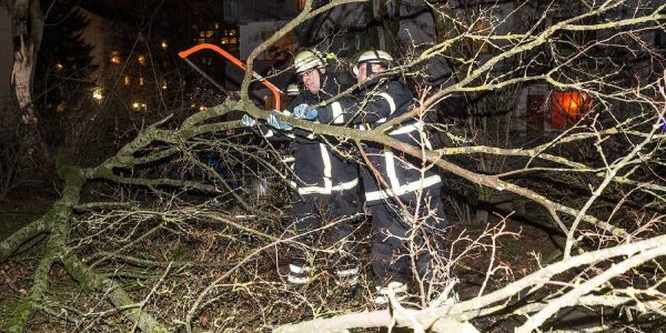 An der Lühmannstraße beseitigen Angehörige der FF Eißendorf den abgeknickten Ast. Foto: zv Sturmtief Barbara verursacht nur wenig Schäden im Bezirk Harburg