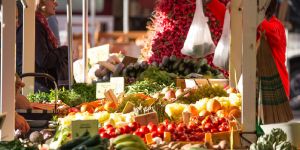 Markt wegen Bolero-Abriss wieder auf dem Rathausplatz?