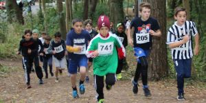 Crosslauf-Meisterschaften: Vier Titel für Schüler aus Harburg