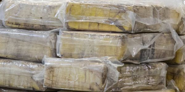 Bremer Straße: Drogen für über 150.000 Euro sichergestellt