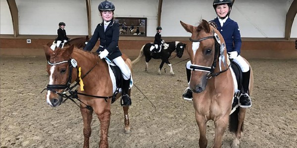 Harburger Reitverein von 1925: Turnier motiviert den Nachwuchs 