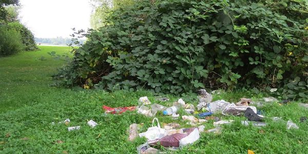 Umweltsäue vermüllen immer wieder Liegewiese am Neuländer See
