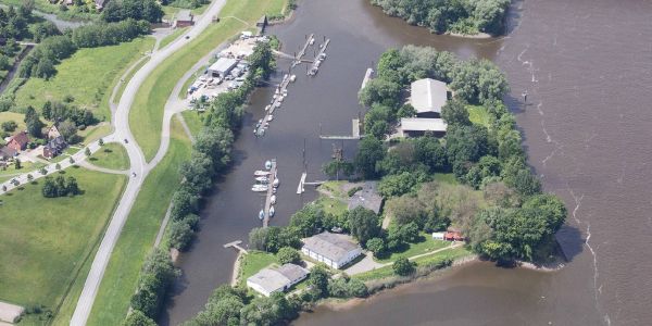 Verbotene Open-Air-Konzerte auf der Pionierinsel: Die Kuh ist nicht vom Eis