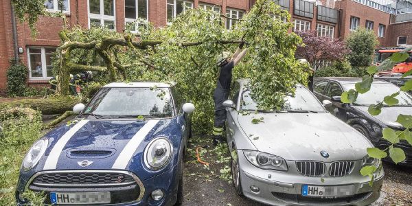 Gewitterfront über Harburg: Viele Sturmeinsätze für die Feuerwehr