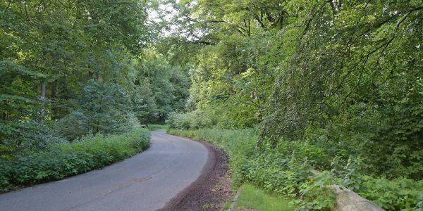 Kletterpark an der Kuhtrift: Das Projekt nimmt weiter Fahrt auf