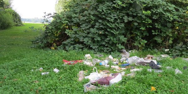 Hinterlassenschaften am Neuländer See. Foto: mag Müll am See beschäftigt den Regionalausschuss