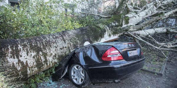 Sturmtief Herwart verursacht schwere Schäden im Bezirk Harburg