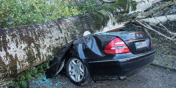 Feuerwehr: Stürme sorgen für deutlich mehr Einsätze im Landkreis Harburg