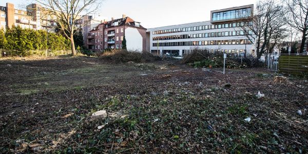 Die gerordete Fläche an der Knoopstraße. Foto: André Zand-Vakili Knoopstraße: Rodung läutet Bauarbeiten für Wohnblock ein