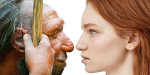 Zwei Millionen Jahre Migration: Neue Ausstellung in Harburgs Museum