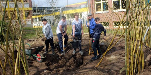 Unterricht im Weidenpavillon: Schüler bauen lebendiges Klassenzimmer
