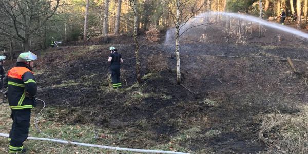 Heimfeld: Erster Waldbrand am ersten schönen Tag des Frühlings