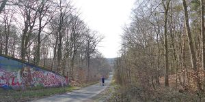 Kuhtrift: Jetzt kommt Kahlschlag statt des angestrebten Kletterparks