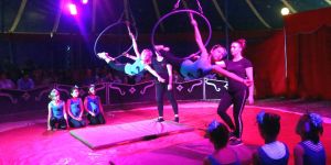 Zirkus statt Klassenzimmer: 620 Schüler als Stars in der Manege