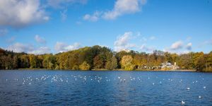 Sommer im Harburg: Raus an die frische Luft!