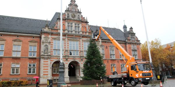 Harburgs Weihnachtstanne ist da: Bald gibt's Glühwein und Mandelduft