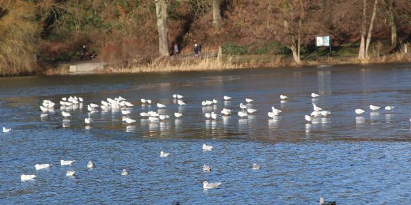 Ein Hauch von Winterzauber in Harburg - Auch am Wochenende