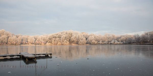 Der Außenmühlenteich und der Stadtpark. Foto: André Zand-Vakili Eiskristalle sorgen für Winterglitzern in Harburg Stadt und Land