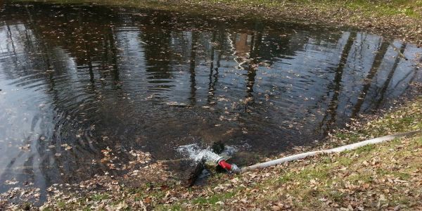 Umwelt-Aktion in Neugraben: &quot;Wasser marsch&quot; für neue Kröten