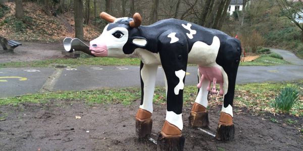 Transportschaden und zu mager: Kuh-Austausch ging doppelt schief