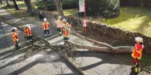Weitere Sturmeinsätze beschäftigen Feuerwehr im Landkreis Harburg