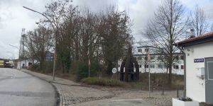 Kleines Wäldchen im Binnenhafen: Wilde Perle soll aufpoliert werden