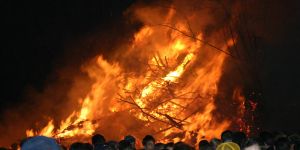 Events zum Osterfest: Hier hoppelt der Hase in Stadt und Land