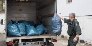 Stader Straße: Kripo hebt große Hanfplantage auf Hinterhof aus