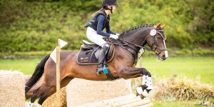 Harburger Reiter starten mit Nachwuchs-Turnier in die Saison