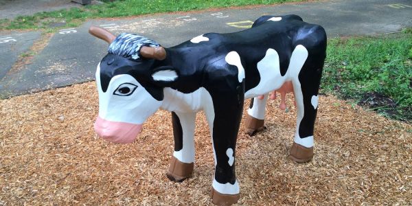 Austausch am Hainholzweg: Jetzt ist die Kuh ein Kälbchen