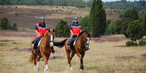 Harburger Reiterstaffel startet Dienst in der Lüneburger Heide