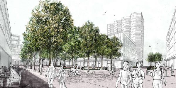 So stellen sich die Planer den Stadtgarten mit Baumkronendach vor. Foto: VOGT Neuländer Quarree: Entwurf für die Freiflächen vorgestellt