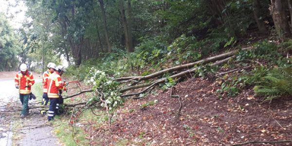 Sturm streift die Region Harburg und sorgt für Einsätze im Landkreis