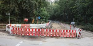 Hitziger Schlagabtausch bei Infoabend zum Ehestorfer Heuweg erwartet