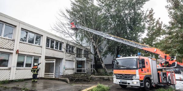 Die Einsatzstelle an der Harburger Schloßstraße. Foto: André Zand-Vakili Sturmschaden