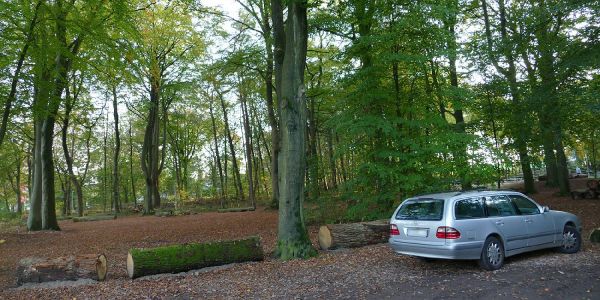 Der verkleinerte Waldparkplatz wird Thema in der Bezirksversammlung. Foto: mag FDP will Parkraumkonzept für Harburgs Sportanlagen