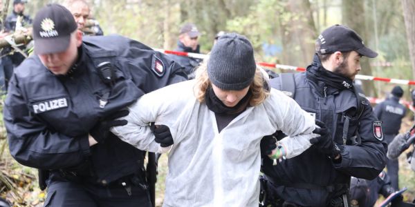 Vollhöfner Wald: Räumung wird zur sprichwörtlichen Hängepartie