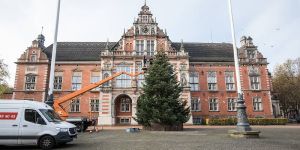 Harburgs Weihnachtsbaum ist dieses Jahr ein richtiger "Brocken"