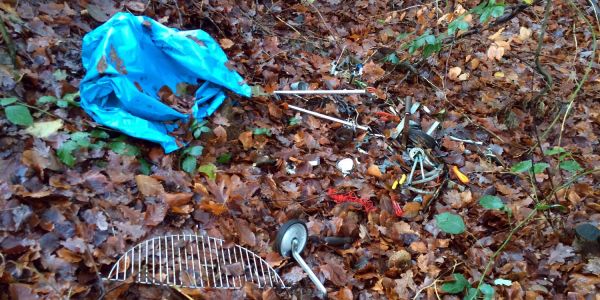 Es sieht so aus, als wenn jemand seinen Keller entrümpelt hatte und die Gegenstände dann in den Wald gefahren hat. Foto: Christian Bittcher Umwelt-Säue schlugen zu: Illegale Müll-Entsorgung im Forst Appelbüttel
