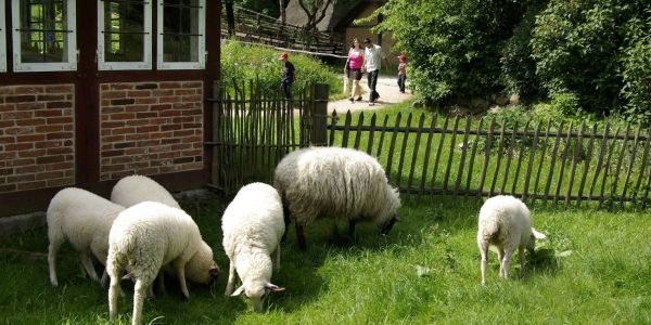 Gute Resonanz in den ersten Tagen: Kiekeberg-Museum wieder geöffnet