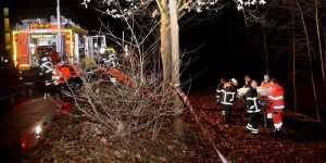 Hausbruch: Leiche eines Mannes in Wassergraben entdeckt